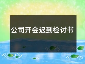 公司開(kāi)會(huì)遲到檢討書(shū)
