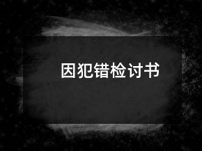 因犯錯檢討書