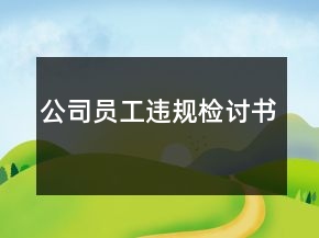 公司員工違規(guī)檢討書