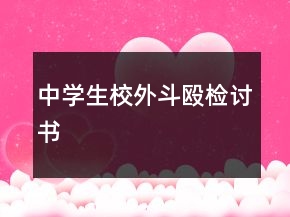 中學(xué)生校外斗毆檢討書(shū)