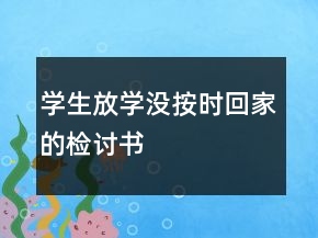 學(xué)生放學(xué)沒(méi)按時(shí)回家的檢討書(shū)
