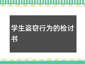 學生盜竊行為的檢討書