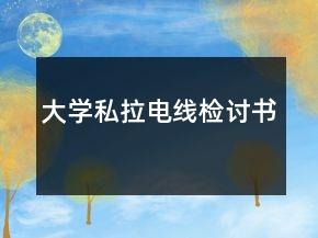 大學(xué)私拉電線檢討書