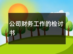 公司財務(wù)工作的檢討書