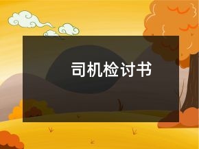司機(jī)檢討書