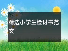 精選小學(xué)生檢討書范文