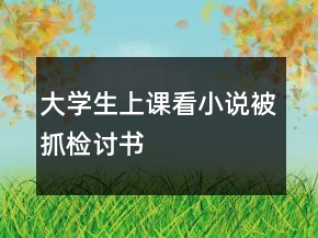大學(xué)生上課看小說被抓檢討書