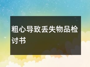 粗心導致丟失物品檢討書