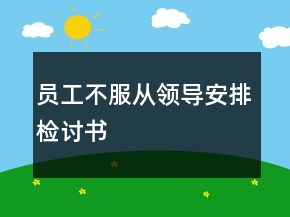 員工不服從領(lǐng)導(dǎo)安排檢討書