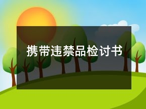 攜帶違禁品檢討書