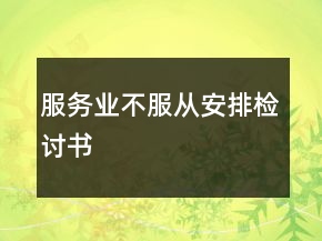 服務(wù)業(yè)不服從安排檢討書