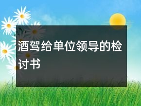酒駕給單位領(lǐng)導(dǎo)的檢討書