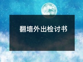 翻墻外出檢討書