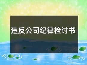違反公司紀(jì)律檢討書