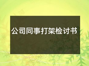 公司同事打架檢討書