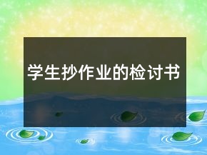 學(xué)生抄作業(yè)的檢討書