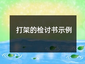 打架的檢討書示例
