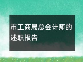 市工商局總會(huì)計(jì)師的述職報(bào)告