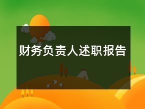 財務(wù)負責人述職報告