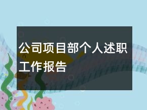公司項目部個人述職工作報告