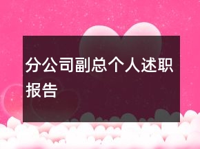 分公司副總個(gè)人述職報(bào)告