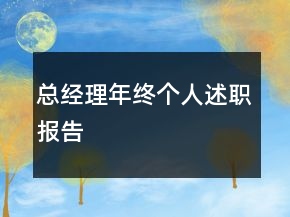 總經(jīng)理年終個人述職報告