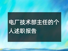 電廠技術(shù)部主任的個人述職報告