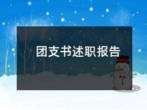 團支書述職報告