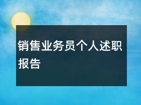 銷售業(yè)務(wù)員個人述職報告