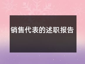 銷售代表的述職報告