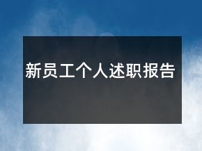 新員工個(gè)人述職報(bào)告