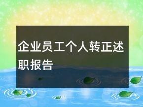 企業(yè)員工個(gè)人轉(zhuǎn)正述職報(bào)告