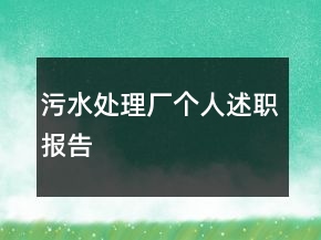 污水處理廠個人述職報告