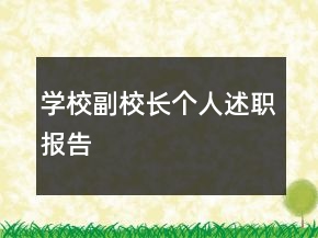 學校副校長個人述職報告