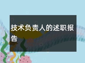 技術(shù)負(fù)責(zé)人的述職報告