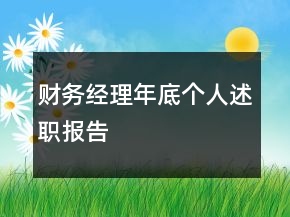 財務經(jīng)理年底個人述職報告