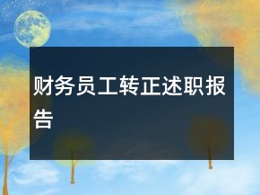 財(cái)務(wù)員工轉(zhuǎn)正述職報(bào)告