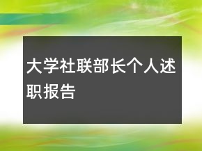 大學(xué)社聯(lián)部長個(gè)人述職報(bào)告