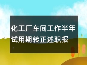化工廠車間工作半年試用期轉(zhuǎn)正述職報告