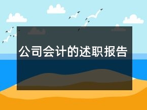 公司會(huì)計(jì)的述職報(bào)告