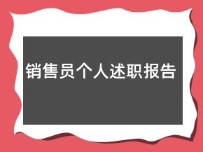 銷售員個(gè)人述職報(bào)告