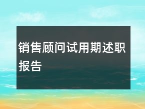銷(xiāo)售顧問(wèn)試用期述職報(bào)告
