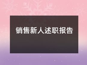 銷售新人述職報告