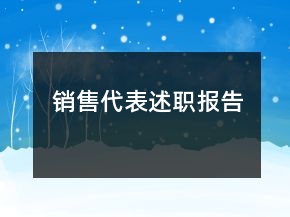 銷(xiāo)售代表述職報(bào)告