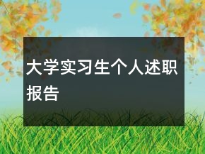 大學(xué)實習(xí)生個人述職報告
