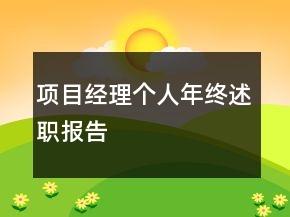 項目經(jīng)理個人年終述職報告
