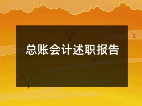 總賬會計述職報告