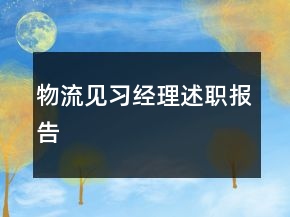物流見習(xí)經(jīng)理述職報(bào)告
