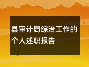 縣審計局綜治工作的個人述職報告