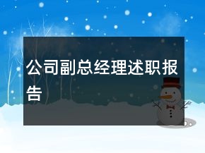 公司副總經(jīng)理述職報告